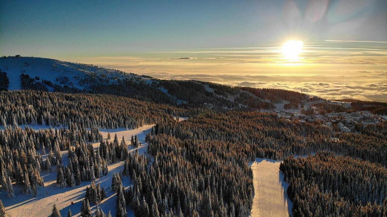 Ski&Spa Apartment S20 Milmari Resort Kopaonik Bagian luar foto