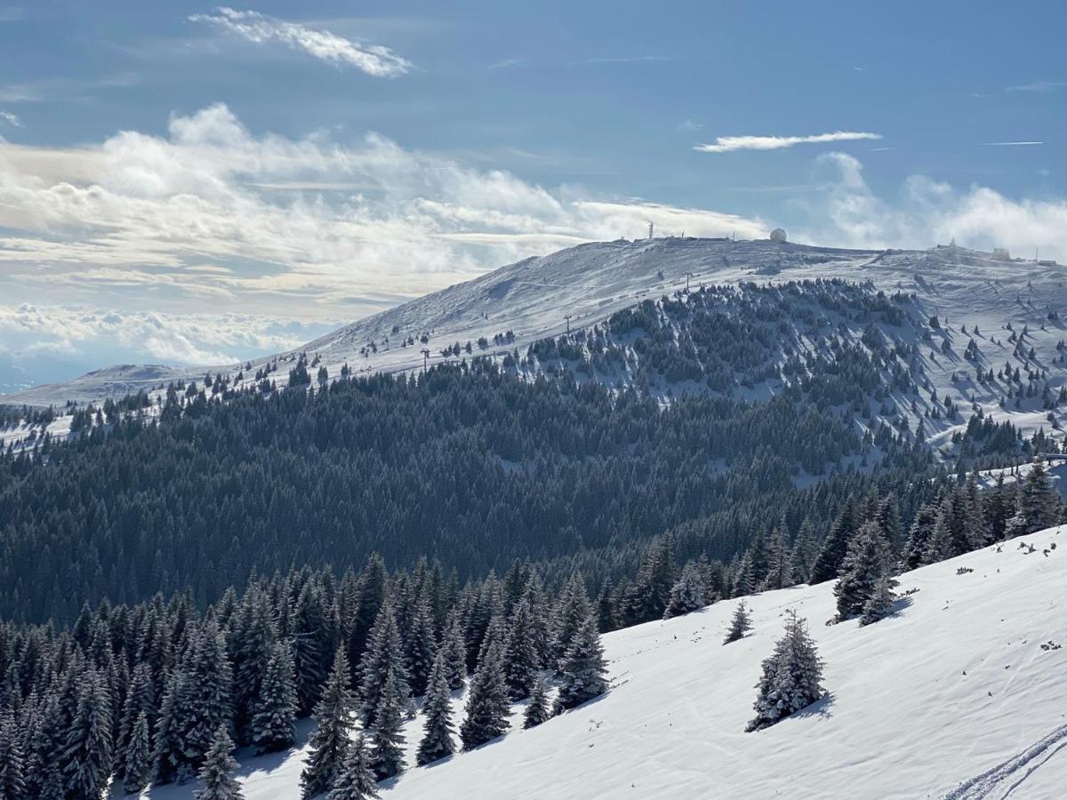 Ski&Spa Apartment S20 Milmari Resort Kopaonik Bagian luar foto