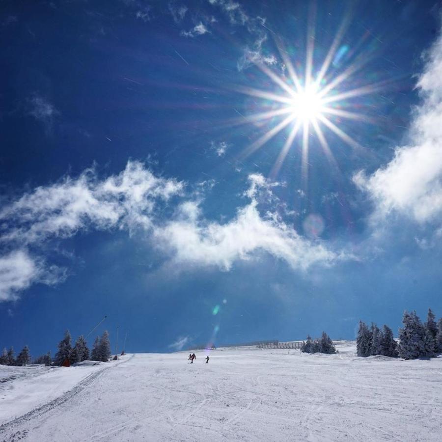 Ski&Spa Apartment S20 Milmari Resort Kopaonik Bagian luar foto