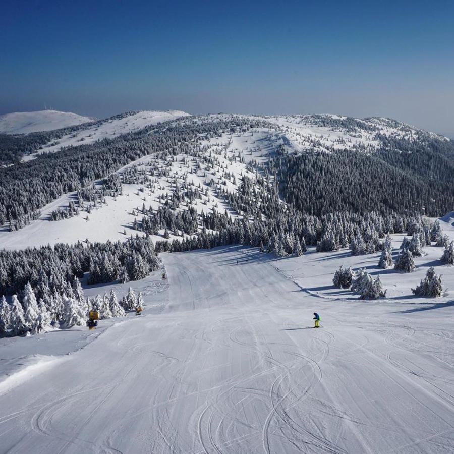 Ski&Spa Apartment S20 Milmari Resort Kopaonik Bagian luar foto